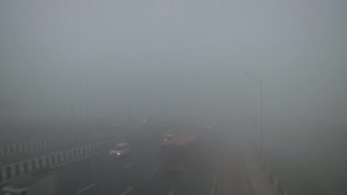 Delhi Winter Photos & Videos: As Temperature Dips Further, Delhiites Experience Chilled Foggy Day