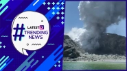 Snake Invades Cricket Pitch During Ranji Match, New Zealand&rsquo;s White Island Volcano Erupts And Other Trending News