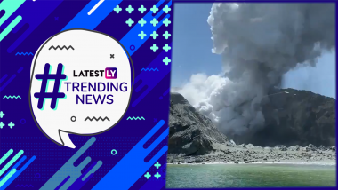 Snake Invades Cricket Pitch During Ranji Match, New Zealand’s White Island Volcano Erupts And Other Trending News