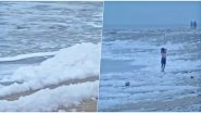 Chennai's Marina Beach Covered in Toxic Foams, Famous Tourist Spot Gets Polluted Due to Sewage Water (View Pics and Videos)