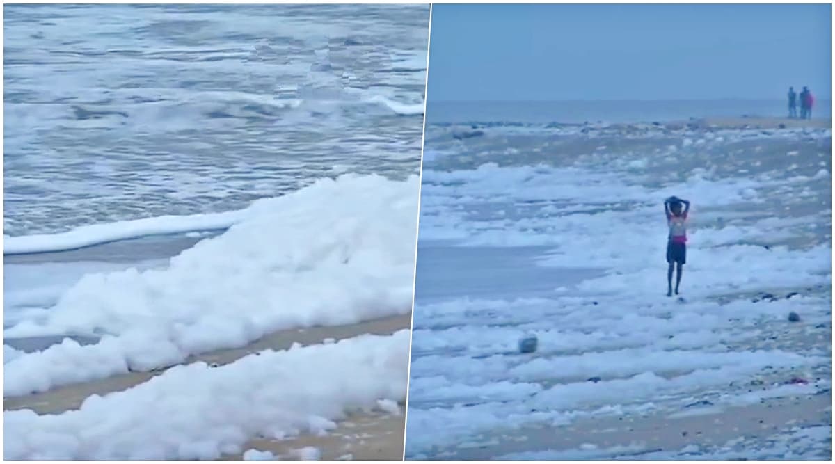 Chennai's Marina Beach Covered in Toxic Foams, Famous Tourist Spot Gets Polluted Due to Sewage Water (View Pics and Videos) Chennai's Marina Beach Covered in Toxic Foams, Famous Tourist Spot Gets Polluted Due to Sewage Water (View Pics and Videos)