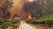 Australia Bushfire: Heartbreaking Photo of Koala and Firefighter Helplessly Watching the Forest Burn Intensifies Climate Change Fear