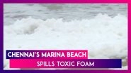 Toxic Foam Quotes Marina Beach In Chennai: Locals Enter The Waters Despite Health Hazard