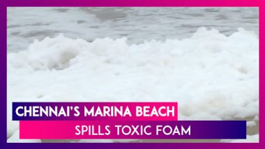 Toxic Foam Quotes Marina Beach In Chennai: Locals Enter The Waters Despite Health Hazard