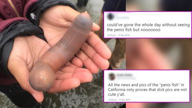 Penis Fish Memes and Jokes Are the Latest Trend After Pics of Phallic-Shaped Worms at California Beach Go Viral