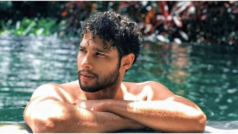 Siddhant Chaturvedi Says He Would Prefer to Buy Any Products Endorsed by Shah Rukh Khan and Virat Kohli