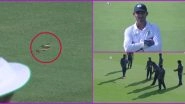 Snake Invades Pitch During Andhra Pradesh vs Vidarbha Ranji Trophy 2019-20 Match, Watch Viral Video