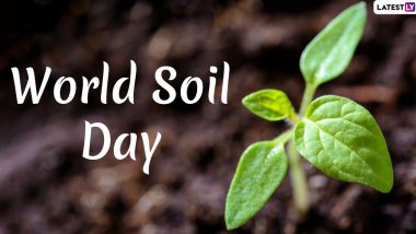World Soil Day 2019 Date: History, Significance and Theme of This Global Awareness Event You Should Know