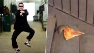 Decade Ender: Gangnam Style, Pizza Rat to Piche Toh Dekho Boy, Watch 10 Insanely Viral Videos That Enthralled the Internet in 2010&ndash;19