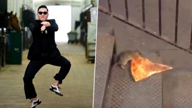 Decade Ender: Gangnam Style, Pizza Rat to Piche Toh Dekho Boy, Watch 10 Insanely Viral Videos That Enthralled the Internet in 2010–19