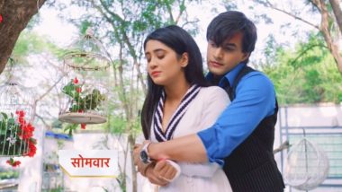 Yeh Rishta Kya Kehlata Hai December 2, 2019 Written Update Full Episode: Kartik Happy With Naira's Confession, But She Is Uncomfortable And Embarrassed About It