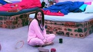 Bigg Boss 13 Episode 68 Sneak Peek 05 | 2 Jan 2020: No One Gives Heed To Captain Shehnaaz