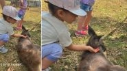 Kunal Kemmu and Soha Ali Khan&rsquo;s Daughter Inaaya Feeds Animals at a Farm in Australia (View Pics)
