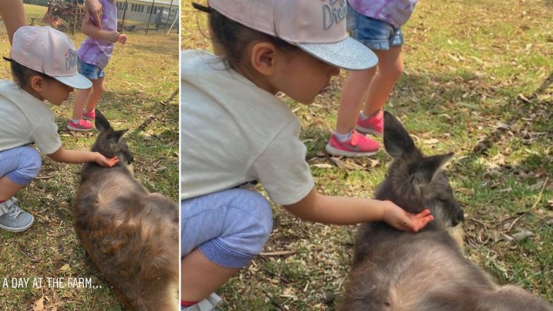 Kunal Kemmu and Soha Ali Khan’s Daughter Inaaya Feeds Animals at a Farm in Australia (View Pics)