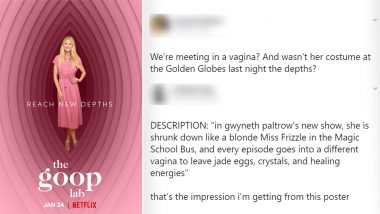 Gwyneth Paltrow Standing Inside a Vagina? Poster of Her New Netflix Show 'Goop Lab' Has the Funniest Twitter Reactions