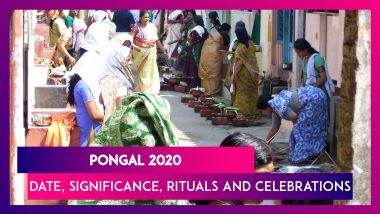 Pongal 2020: Know The Date, Significance, Rituals And Celebrations Of The Annual Tamil Festival