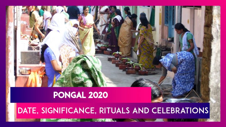 Pongal 2020: Know The Date, Significance, Rituals And Celebrations Of The Annual Tamil Festival