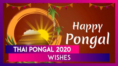 Thai Pongal 2020 Wishes: WhatsApp Messages, Images, Greetings to Celebrate This Tamil Nadu Festival