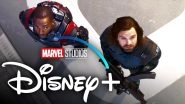 The Falcon And The Winter Soldier: Anthony Mackie and Sebastian Stan&rsquo;s Disney Plus Series&rsquo; Prague Shoot Halted Over Coronavirus Scare