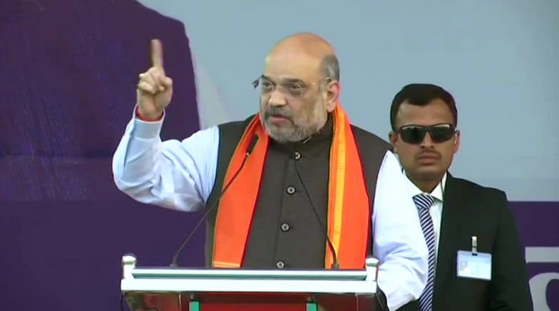 Amit Shah's Pro-CAA Rally in Hubli: Union Home Minister Calls People Opposing The Act 'Anti-Dalits'