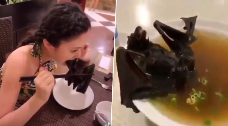 Coronavirus Scare: Video of Chinese Woman Eating a Whole Bat Goes Viral ...