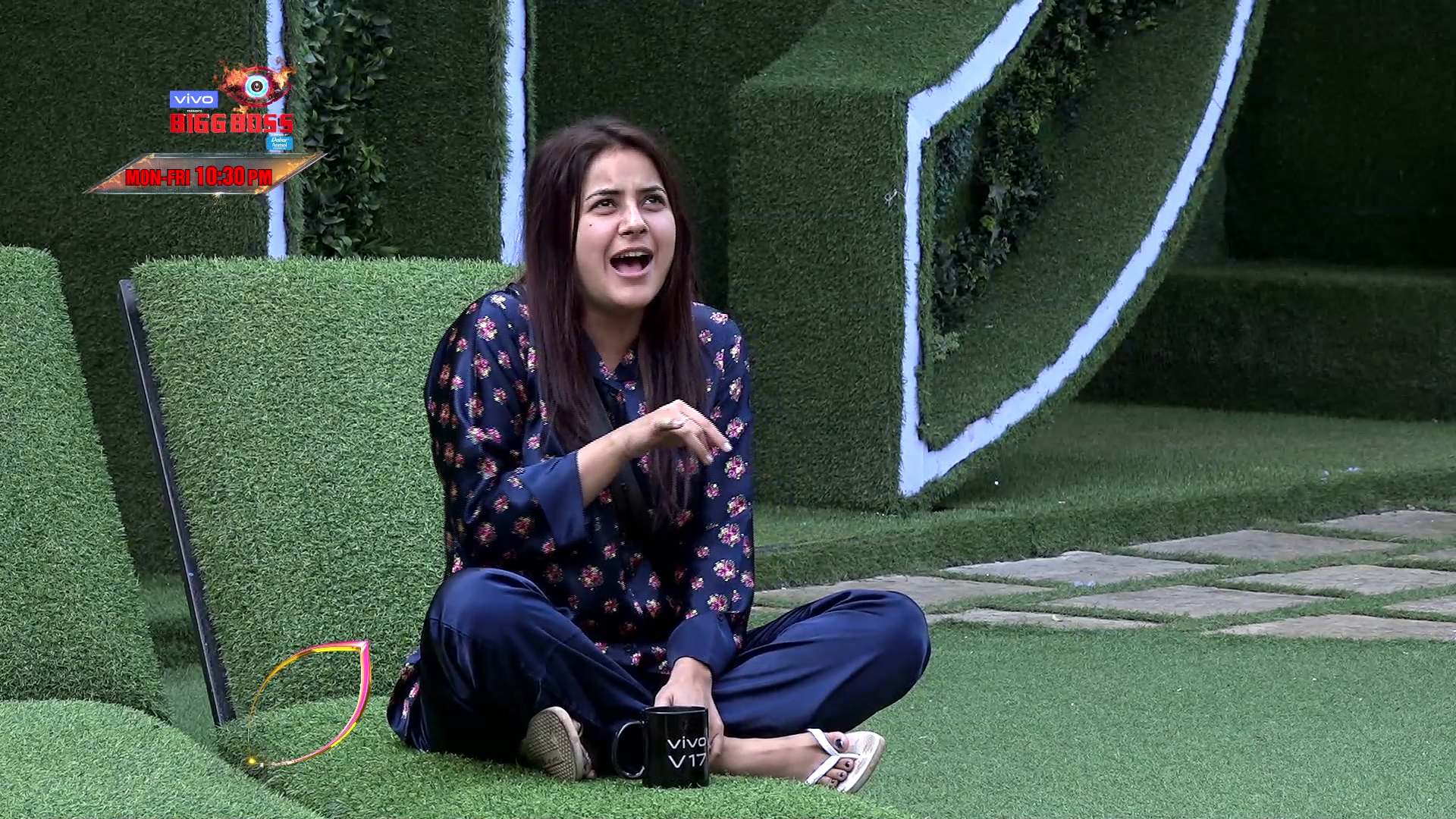 Bigg Boss 13 Episode 84 Sneak Peek 04 24 Jan 2020 Meet Shehnaaz s New BFF A Crow Watch Videos From LatestLY