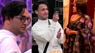 Bigg Boss 13 Episode 87 Updates | 29 Jan 2020: Vikas Gupta Reveals About Asim Riaz's Alleged Girlfriend