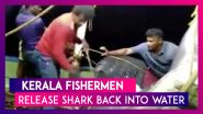 Kerala Fishermen Release Endangered Whale Shark Back Into Water, Win Praises On Twitter