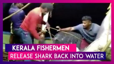 Kerala Fishermen Release Endangered Whale Shark Back Into Water, Win Praises On Twitter