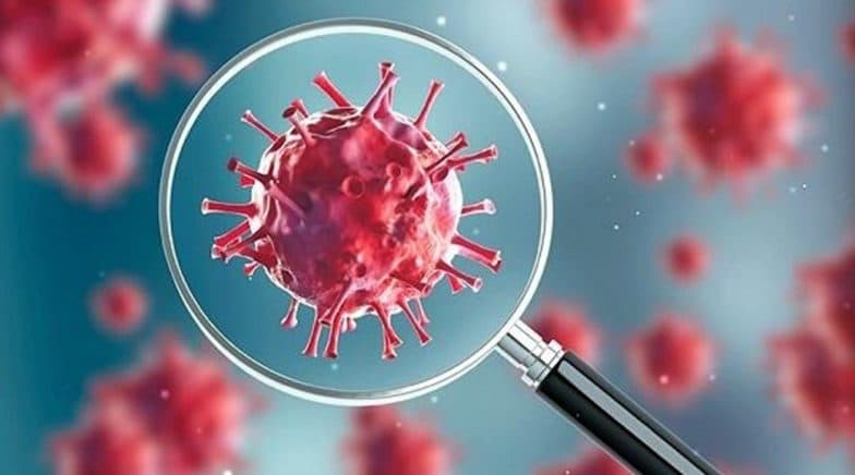 Novel Coronavirus Stays for a Day on Cardboard, 3 Days on Plastic: Study