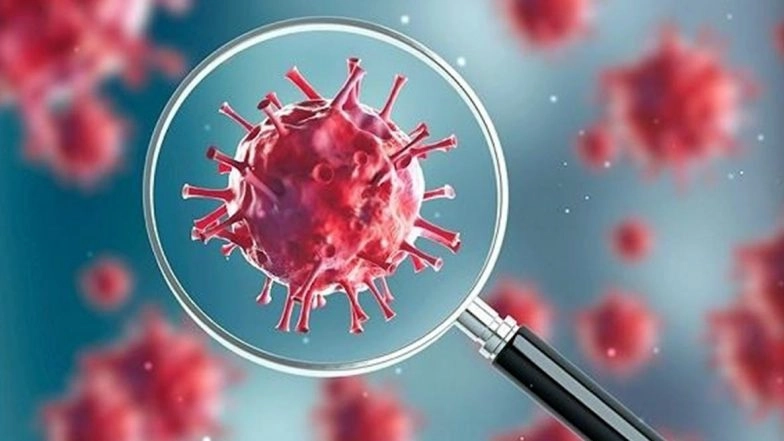 Kunming Plateau Half Marathon 2020 Postponed Due to Coronavirus Epidemic