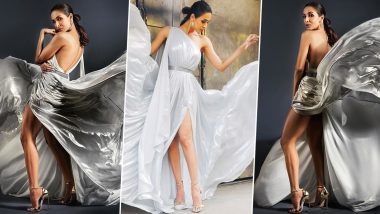 Malaika Arora Weaves Silver Magic with her Evyatar Myor Gown (View Pics)