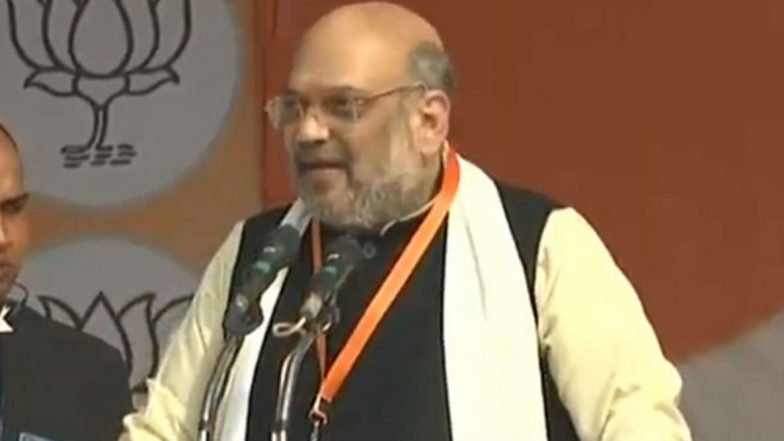 Amit Shah Tests Positive For Coronavirus: Rajnath Singh, Ravi Shankar Prasad, Mamata Banerjee And Other Political Leaders Wish For Home Minister's Speedy Recovery