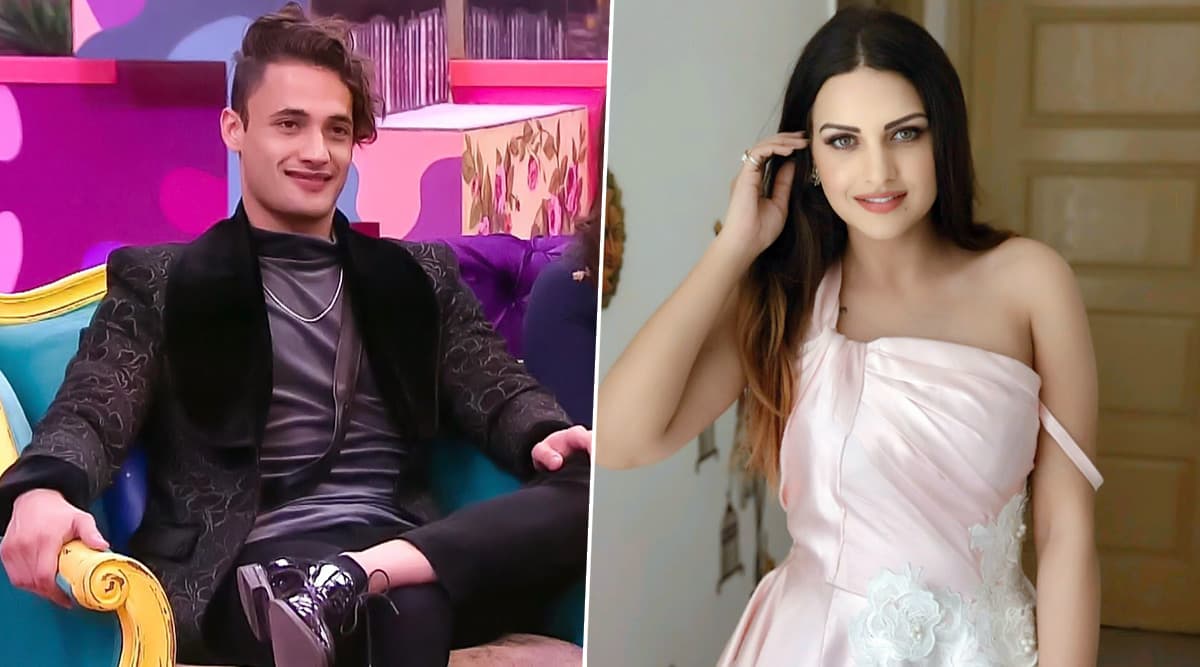 Bigg Boss 13 Asim Riaz Is Surely in Pyaar Says I Love 