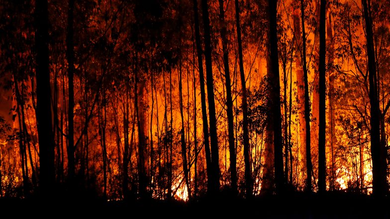 California Fire: Over 200 Trapped in Wildfire Airlifted by Military Helicopters