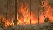 Can Climate Change Be Blamed For Australia's Bushfires? Here's What You Can Do To Reduce The Rising Green House Emissions Today!