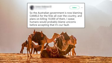 Australia's Decision to Kill 10,000 Camels Because They Drink Excess Water Amid The Severe Bushfire Crisis Sparks Outrage on Twitter