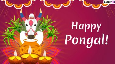 Bhogi 2020 Date & Significance: Tithi, Timings, History and Importance of the First Day of Pongal