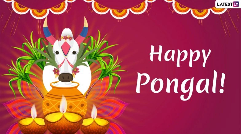 Bhogi Pongal 2020 Date & Significance: History and Importance of the Harvest Festival