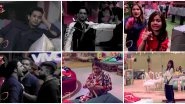 Bigg Boss 13 Day 123 Highlights: Kashmera Shah Accuses Vikas Gupta of Trying to Ruin Her Relationship With Arti Singh
