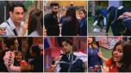 Bigg Boss 13 Day 123 Preview: Vikas Gupta's Mastermind Giri Irks Sidharth Shukla and Devoleena Bhattacharjee (Watch Video)