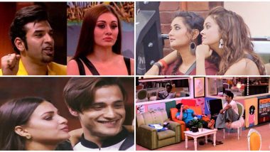 Bigg Boss 13: Vikas For Sidharth, Himanshi For Asim, Devoleena For Rashami and Shefali For Paras - These Ex Contestants To Enter The House