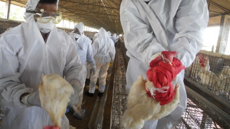 Bird Flu in China: Sichuan Reports Human Case of H5N6 Bird Flu