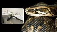 UK Woman Finds Huge Boa Constrictor, One of Largest Snakes in The World in Her Bathroom (View Scary Pics)