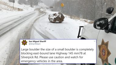 Colorado Highway Blocked by 'Large Boulder the Size of Small Boulder' is Going Viral With 'Rock'ing Puns!