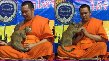 Cat Disturbs Buddhist Monk During 5-Hour-Long New Year Prayers in Bangkok Temple (Adorable Video Goes Viral)