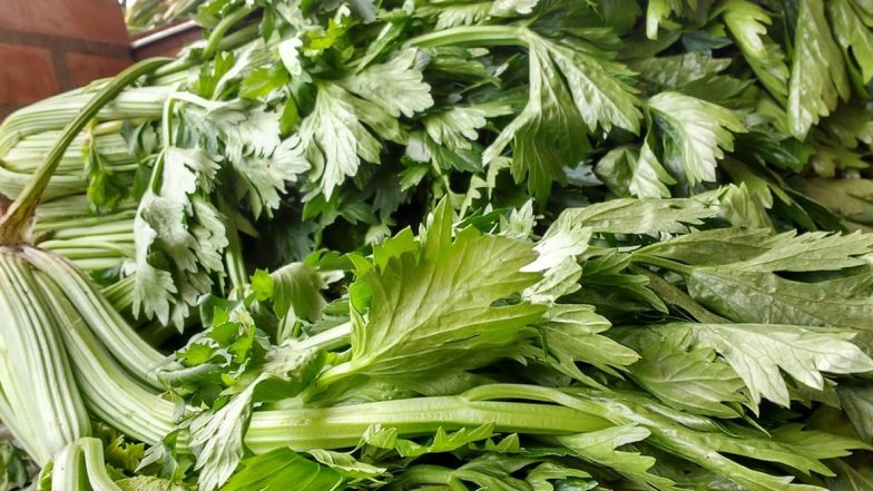Weight Loss Tip of the Week: How to Use Celery to Lose Weight (Watch Video)