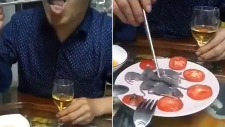 Man Dips Live Baby Mouse in Sauce And Eats It Amidst Coronavirus Outbreak, Video Goes Viral