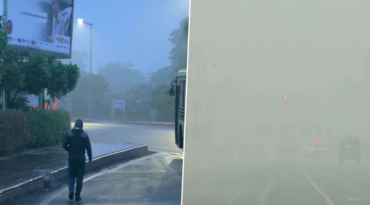 Delhi Receives Light Showers Amid Winter Chills as Severe Cold Wave Continues to Grip North India, See Pics Delhi Receives Light Showers Amid Winter Chills as Severe Cold Wave Continues to Grip North India, See Pics