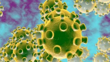 Coronavirus Scare in India: Mumbai Man Admitted at Kasturba Hospital for Possible Exposure to nCoV